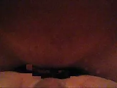 スリランカの猫の摩擦や性交