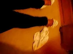 プールサイド ラティーナ ブッシュ 675