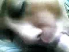 若い毛深いドイツいじるお尻とオマンコ