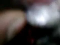 毛むくじゃらの猫のアジア ギャングが自慰行為