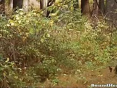 痴女パイド ブッシュ 28