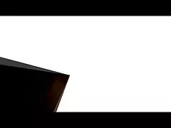 キッチン テーブルの性交