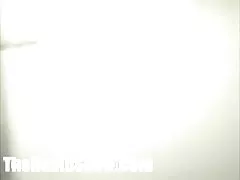 Wam バムありがとうございます domincanin 猫ママ ミアを打ちました