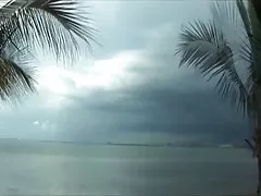 ビーチでの優雅な性.(f)