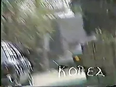 白い男は韓国のフッカー ドギー スタイルをファックします。