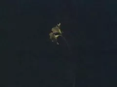 セクシー下着モデル オーディション盗撮