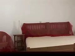 支配のヨーロッパ スタイル