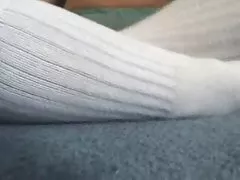 若いいとうツバメ