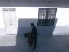 高温多湿のシュワルツ