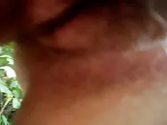 めちゃくちゃスキニーの毛むくじゃらの猫の可愛い人