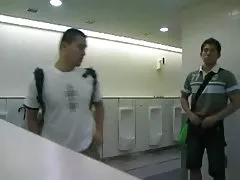 角質と雨の多い猫