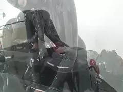 かわいい毛むくじゃら