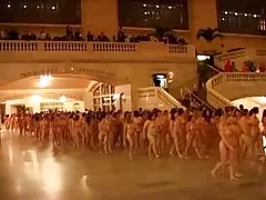 毛むくじゃらの猫 4