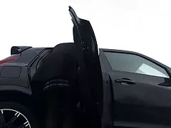 共有 7 スウィンガーズ