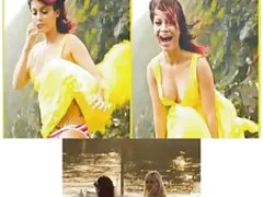 毛深いボックスふしだらな女を非難