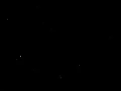 大きなペニス陰茎に小さなドキュメンタリー