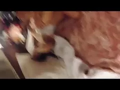 Cojiendome メイド