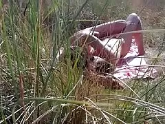 ビンテージの毛深い女の子したサンフランシスコのヒッピー