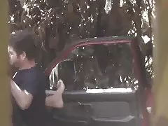 毛むくじゃらの猫