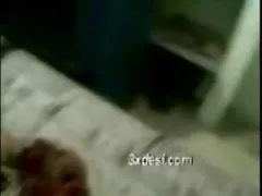 成熟した毛むくじゃらの猫とラテンの母