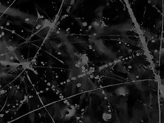 汚い diares その 1