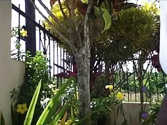 コンパイル ドミニカ共和国を点滅