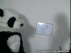 セクシーな角質パンダ先生