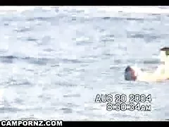 なぜおばあちゃん!どのような大きなブッシュがある!