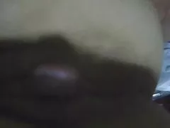 黒シルクぽっちゃりぽっちゃり妻ぽっちゃり長い毛猫