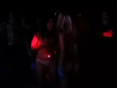 本当のビーチ パーティー