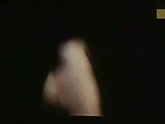 ミスターのおさるケース ・ ベイツします。