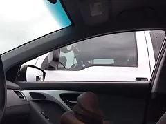 穏やかな毛むくじゃらのおばあちゃん