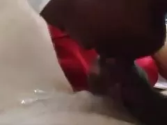 異人種間の迅速な行動のぬれた猫