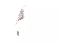 十代を吹いて心を取る完全な幸運な男の世話