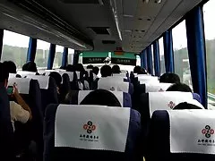 オナニー日本バス ・ ツアー