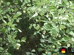 元気なラティーナのランデブー