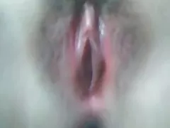 白い大きな猫と娼婦