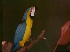 西 - 書店で毛むくじゃらのレズビアンの女の子の少女