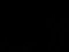 私の毛猫中あなたのホット クリームを撮影します。