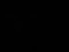 ステファニー販売-付注プロヴィンシャ vol2 で