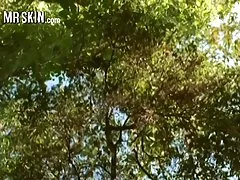 クリームパイ ヘアリープッシー蜂蜜