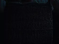 ファット ・ アジアの猫 pt6