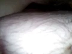 毛むくじゃらの猫のクローズ アップ