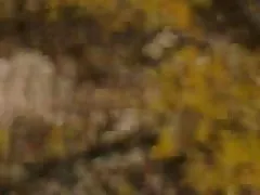 フェラチオ ルーレット 2 pow バージョン