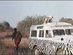 アフリカの巨大なペニス! 本物のサファリ!