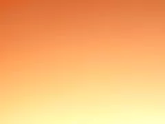 ヌードビーチで毛深い痴女