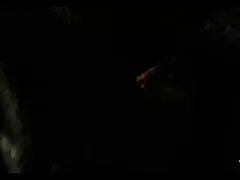 忠実に私の猫をなめる!