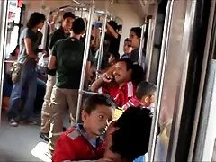 ホット毛むくじゃらの猫