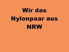小さな猫の兼秘密