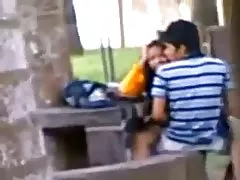 モーツァルトとクーガー